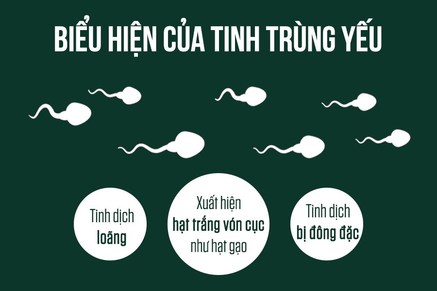 Tinh trùng yếu