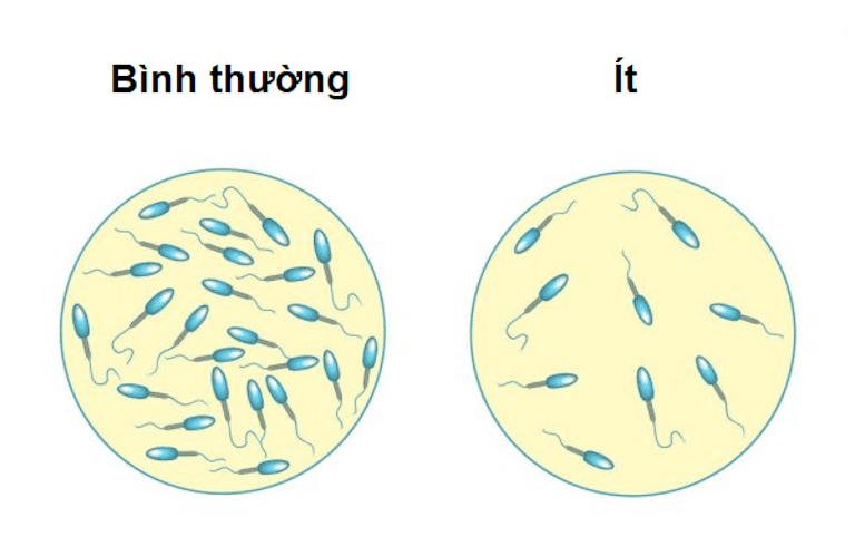 Tinh dịch loãng có con được không?