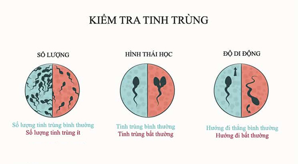 Nam giới mắc tinh trùng yếu nên ăn gì, không nên ăn gì?